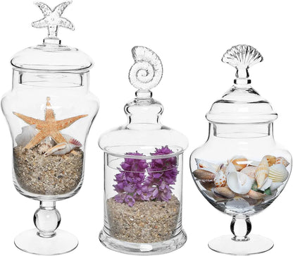 Apothecary Jars With Seashell Lids