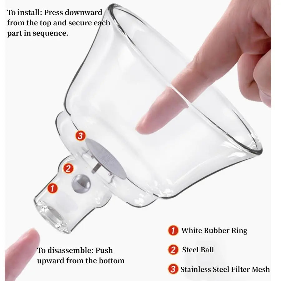 Kungfu Glass Tea Set With Infuser