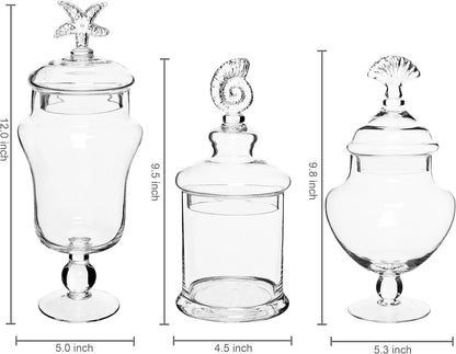 Apothecary Jars With Seashell Lids